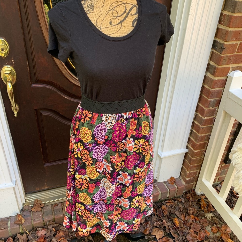 LLR Lola NWT